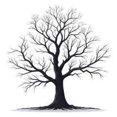 Obraz premium silhouette dead tree 