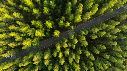 Aerial view of dark green forest road and white electric car Natural landscape and elevated roads Adventure travel and transportation and environmental protection concept	