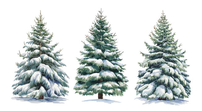 Set of Christmas tree covered by snow. Watercolor style vector illustrations