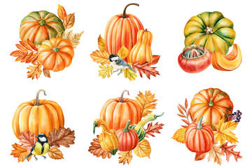 Set orange pumpkins, autumn leaves seasonal fall harvest illustration botanical composition isolated. Colorful pumpkin