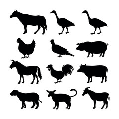 Obraz premium Set of 12 farm animal silhouettes vector
