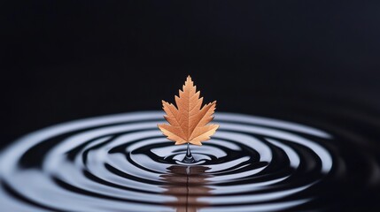 Golden Leaf on Water Ripples: A Tranquil Autumn Moment