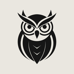 owl on white background