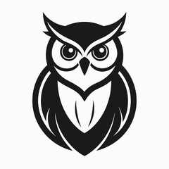 Obraz premium owl on white background