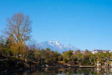 autumn in the park