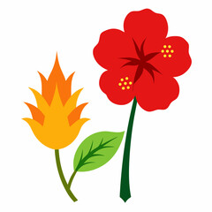 red flower isolated on white