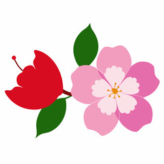 pink flower isolated on white background