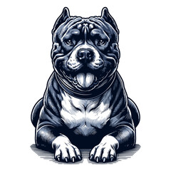 American Pit Bull Terrier vector and illustration.