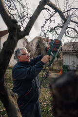 Gardener pruning fruit tree branches using electric chainsaw in orchard