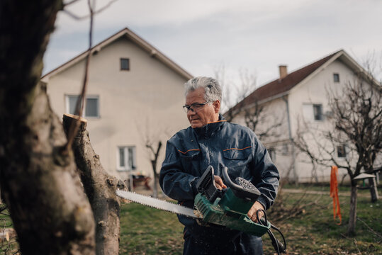 Senior gardener cutting tree branch with chainsaw in backyard