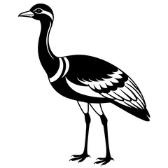 Obraz premium vector illustration of an ostrich