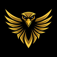 Obraz premium eagle with wings