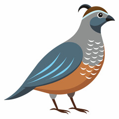 vector illustration of a bird