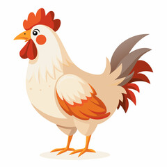 rooster isolated on white