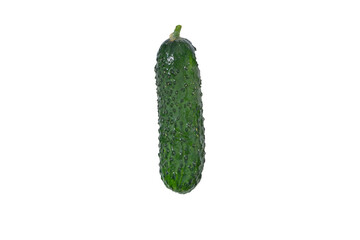 Isolated green cucumber on white background