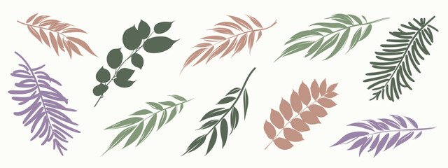 Set of hand drawn branch with leaves isolated on white background. Brush stroke floral shape elements in vintage style. Batanical design template. Vector illustration