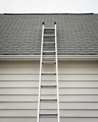 Metal Ladder Against Gray Shingle Roof for Home Maintenance and Repair Services