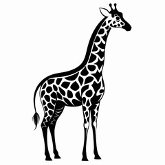 Naklejka premium giraffe vector illustration