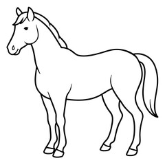 Obraz premium horse vector illustration