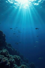 Fototapeta premium Dark blue ocean surface with schools of fish swimming, fish, aquatic life, finned creatures