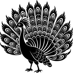 Fototapeta premium peacock vector illustration