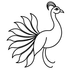 Obraz premium peacock vector illustration