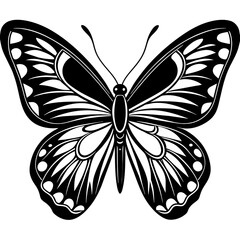 butterfly vector illustration