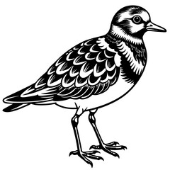 Fototapeta premium vector illustration of cartoon bird