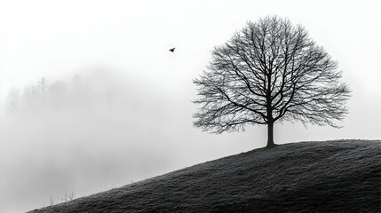 Solitary Leafless Tree on Misty Hillside