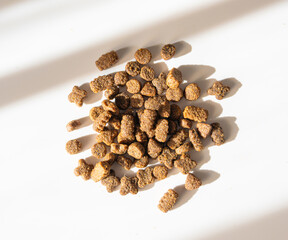 Obraz premium Dry pet food in sunlight, dog kibble pile, scattered puppy pellets, small canine protein croquette