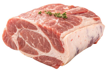 raw meat on a white background