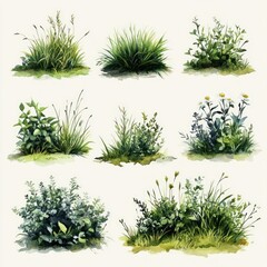 Watercolor Green Grass and Floral Landscape Illustration Set with Lush Herbs and Natural Textures