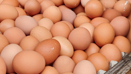 Stacks Of Fresh Eggs