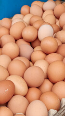 Stacks Of Fresh Eggs