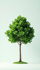 Fototapeta premium A small isolated tree against an empty background, tree, minimalist, clean