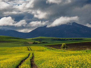 Fototapeta premium Mountain landscape. A view of the green hills with storm clouds looming over them.