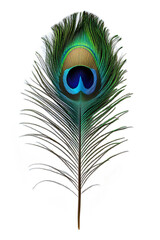 Obraz premium High Quality Cut Out of a Single Isolated White Peacock Feather on a Pure White Background - Ideal for Elegant Design Projects