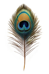 Obraz premium High Quality Cut Out of a Single Isolated White Peacock Feather on a Pure White Background - Ideal for Elegant Design Projects