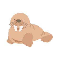 セイウチ  イラスト