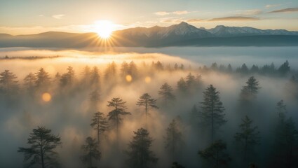 Obraz premium Aerial perspective of the sun rising above a misty forest.