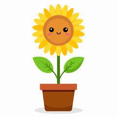 sunflower in a pot