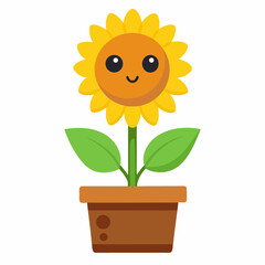 sunflower in a pot