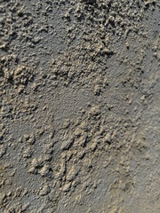 A wall with a rich vintage texture that is good for use as a design background.