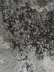 A wall with a rich vintage texture that is good for use as a design background.