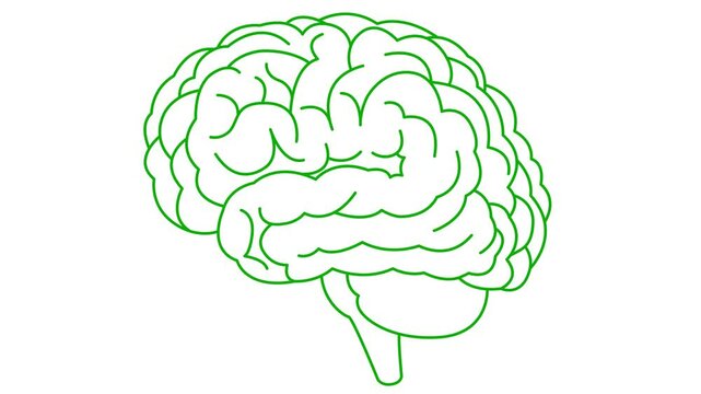 Animated linear green symbol of brain. Icon is shaking. Concept of idea, creative, intellect, education, mental health. Line vector illustration isolated on white background.