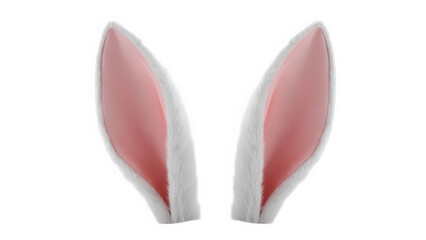 Fototapeta premium Close-up of white rabbit’s head showcasing large white ears with pink inner details, emphasizing natural design and delicate features, isolated on transparent background