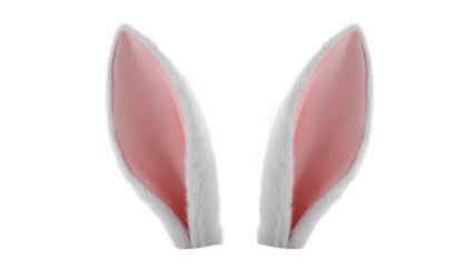 Close-up of white rabbit’s head showcasing large white ears with pink inner details, emphasizing natural design and delicate features, isolated on transparent background