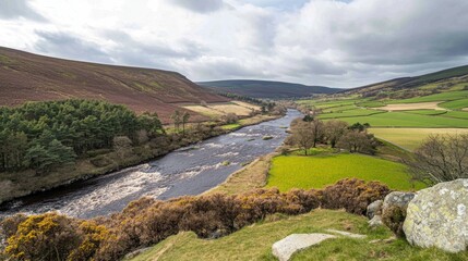 Fototapeta premium A scenic river flowing through a valley, with vibrant green fields stretching into the distance