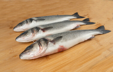 European seabass or Dicentrarchus labrax, whole raw labrax, branzino fish, European bass