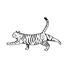 stretching cat vector for pet design